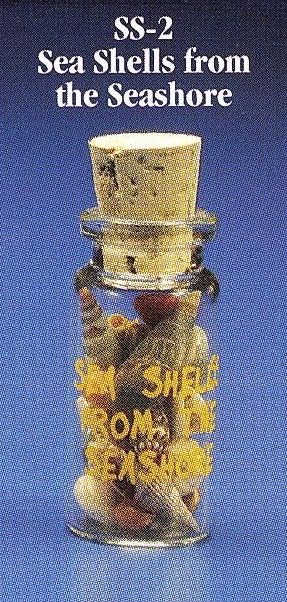SS2 Sea Shells from the Seashore in Mini Glass Bottle